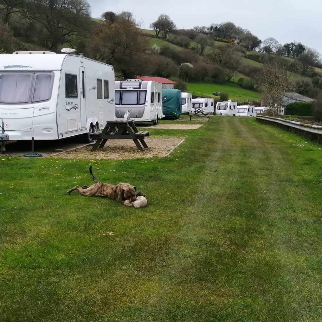 Newberry Valley Park Camping and Caravanning