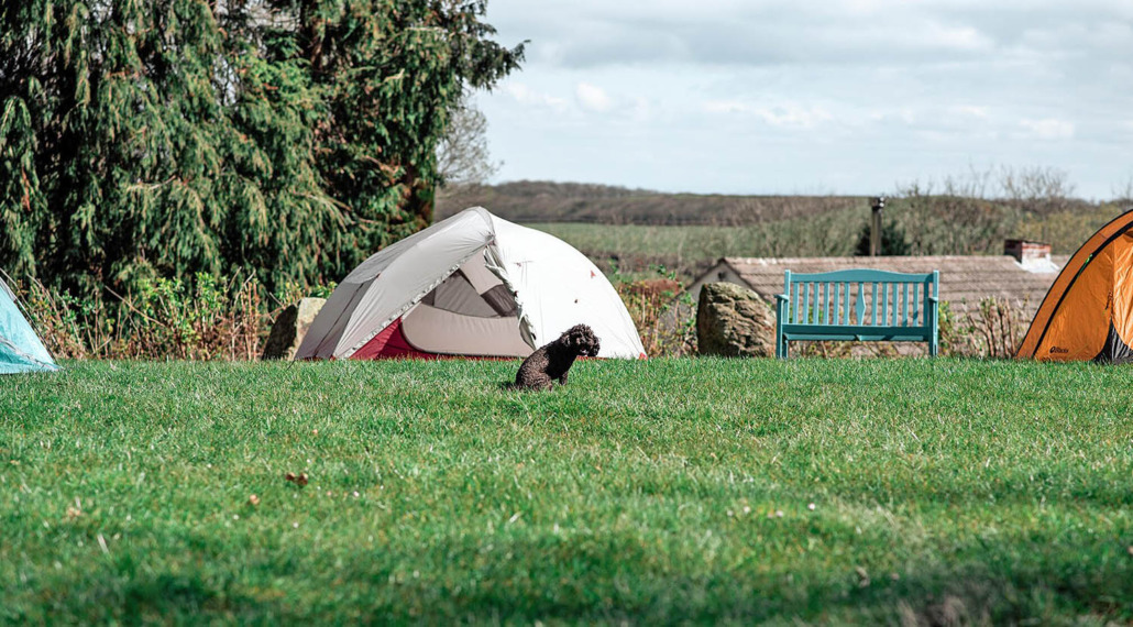 Treetops Camping