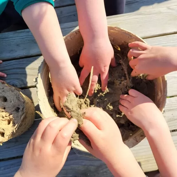 Make a Cob Bug Hotel: A Fun and Messy Adventure! (31st May 2023)
