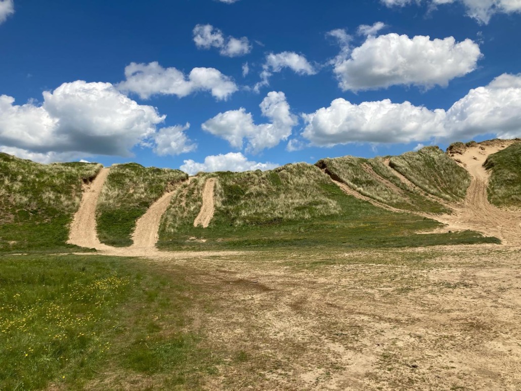 Braunton Burrows