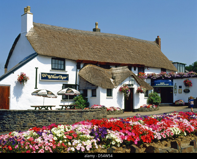 The Top 5 Dog-Friendly Pubs in Braunton