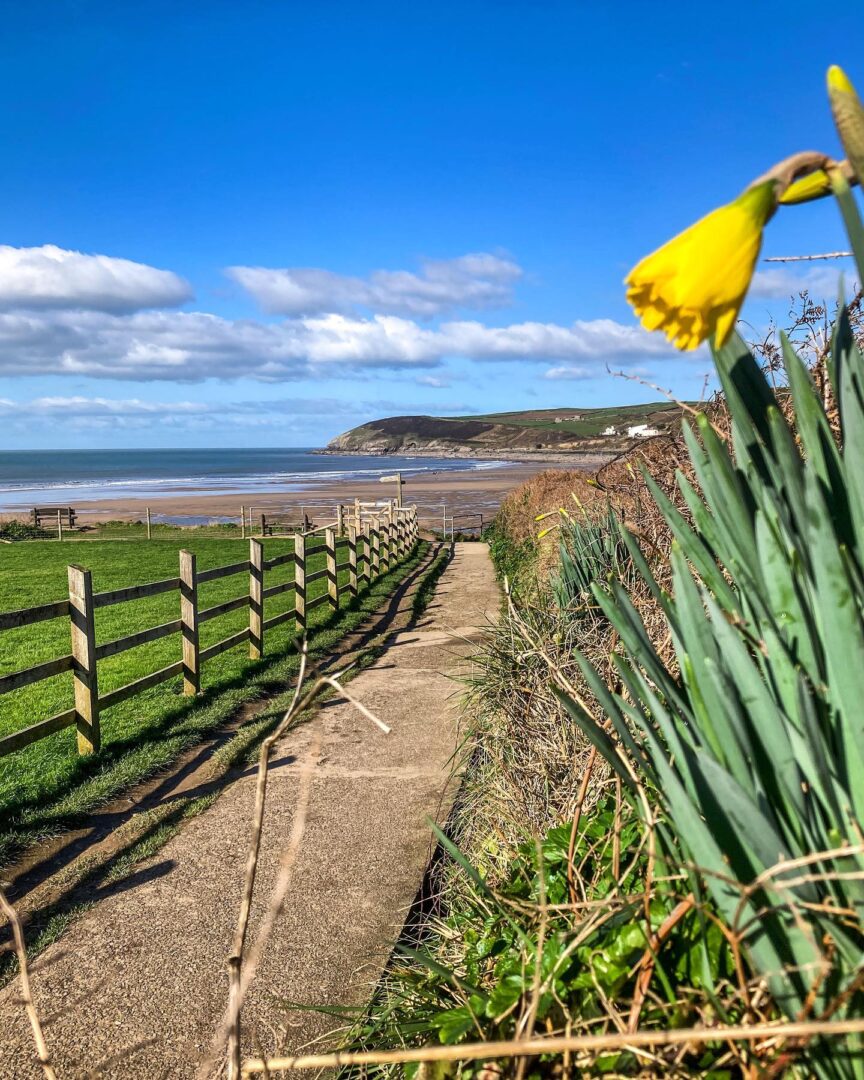 Campsites Near Croyde