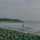 Exploring the History of Westward Ho