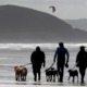 Northam Burrows Dog Walking