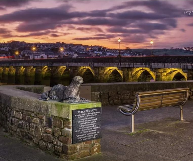 The Remarkable Tarka the Otter Statue in Bideford