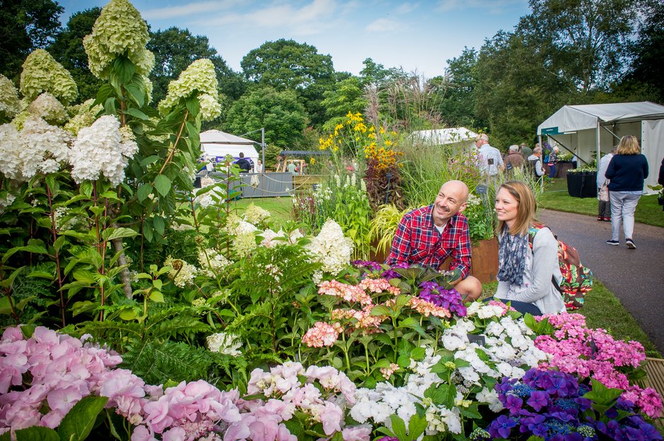 RHS Garden Rosemoor Flower Show 2023