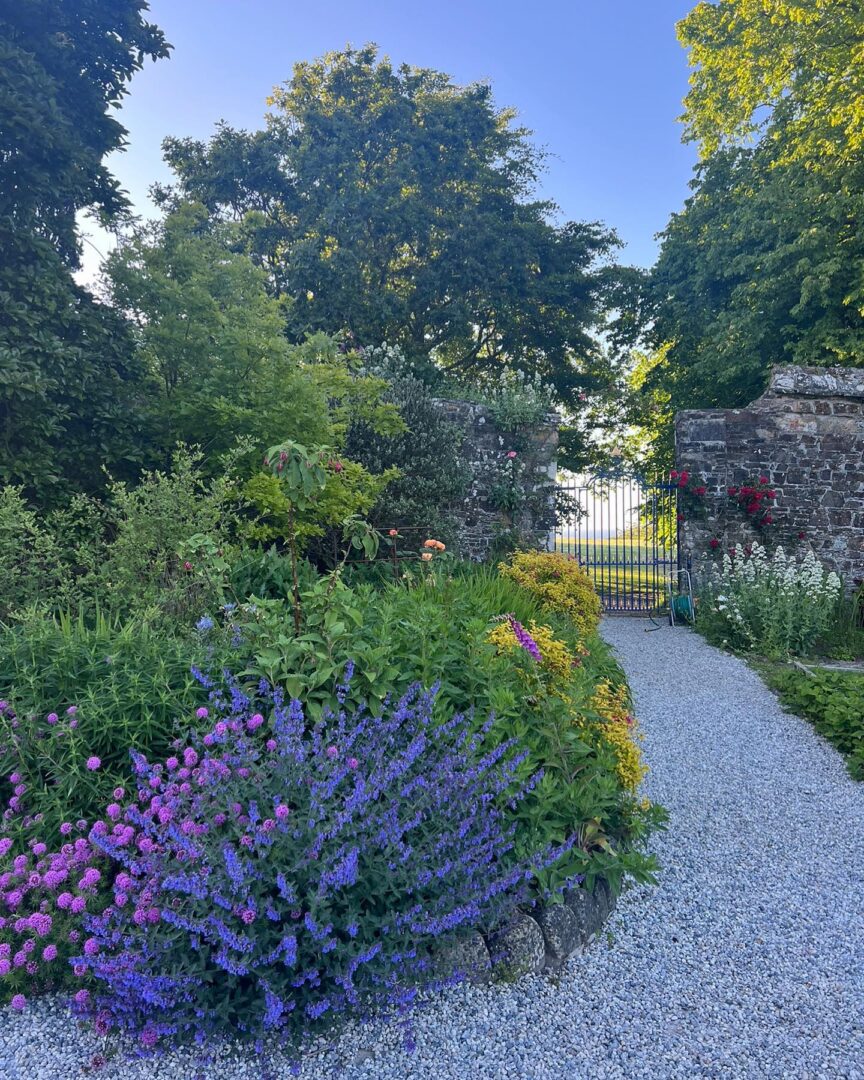 Clovelly Court Garden