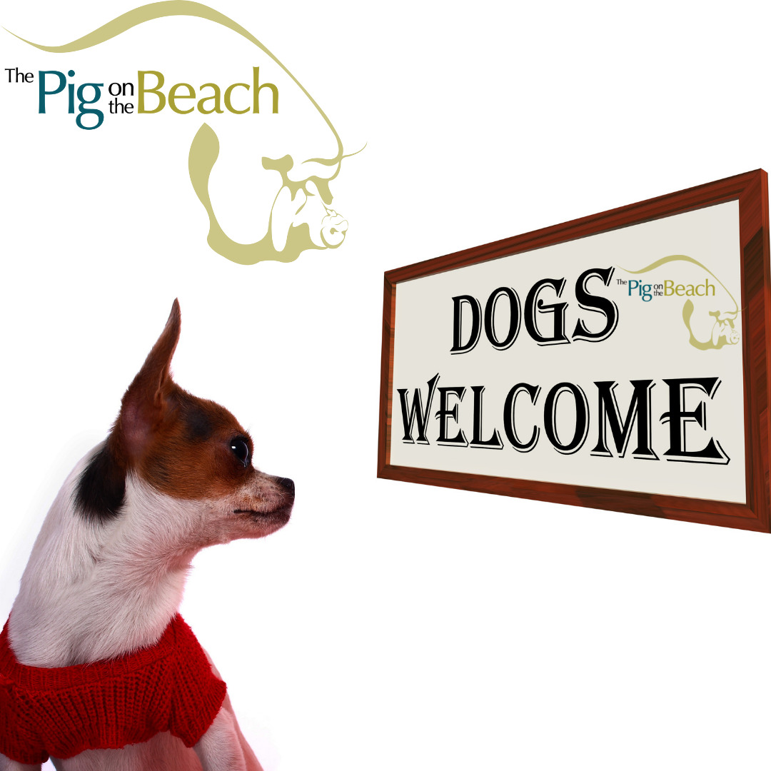 Dog-Friendly Pubs in Westward Ho!