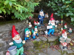 The Gnome Reserve and Wildflower Garden