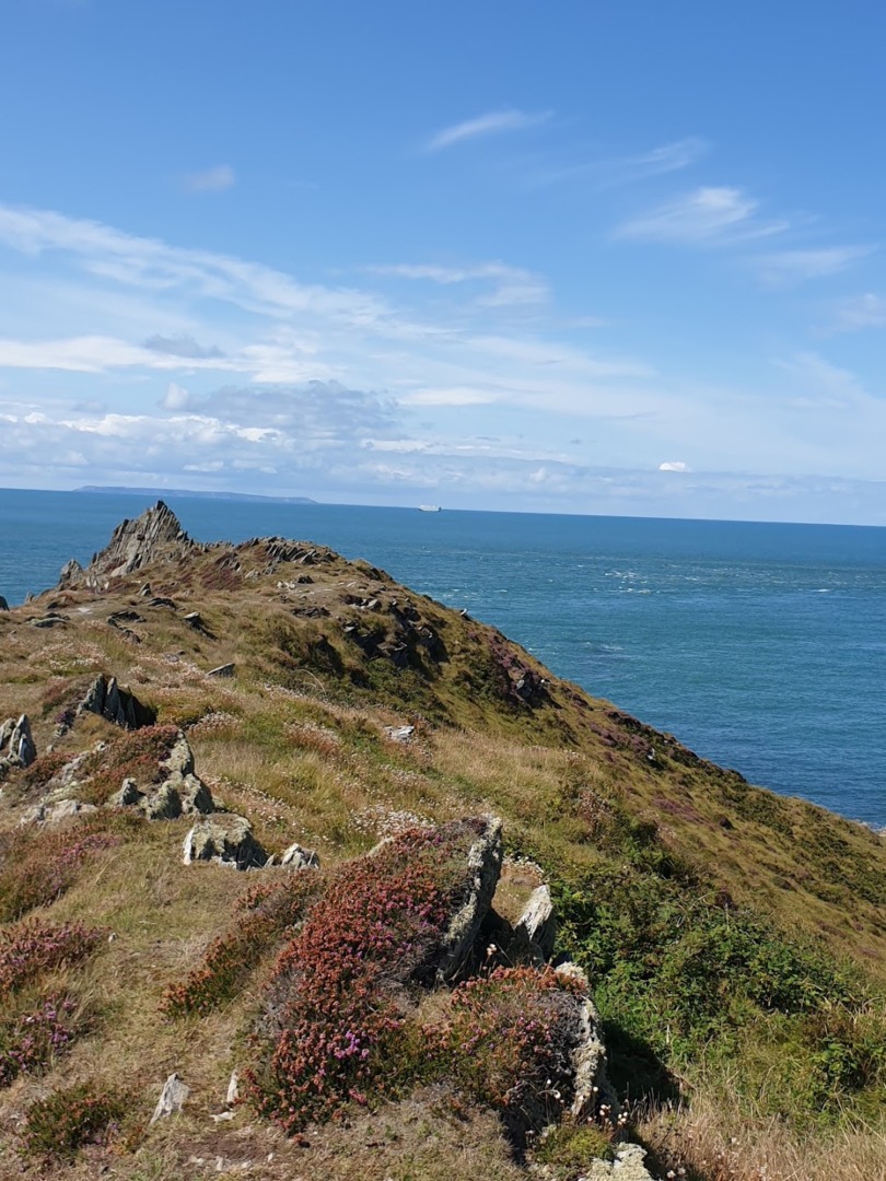 Campsites Near Combe Martin