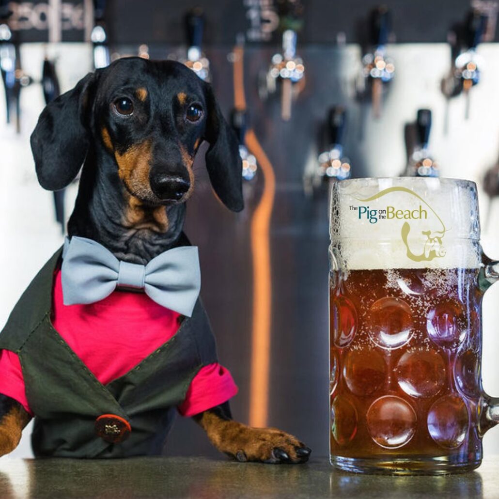 Dog-Friendly Pub