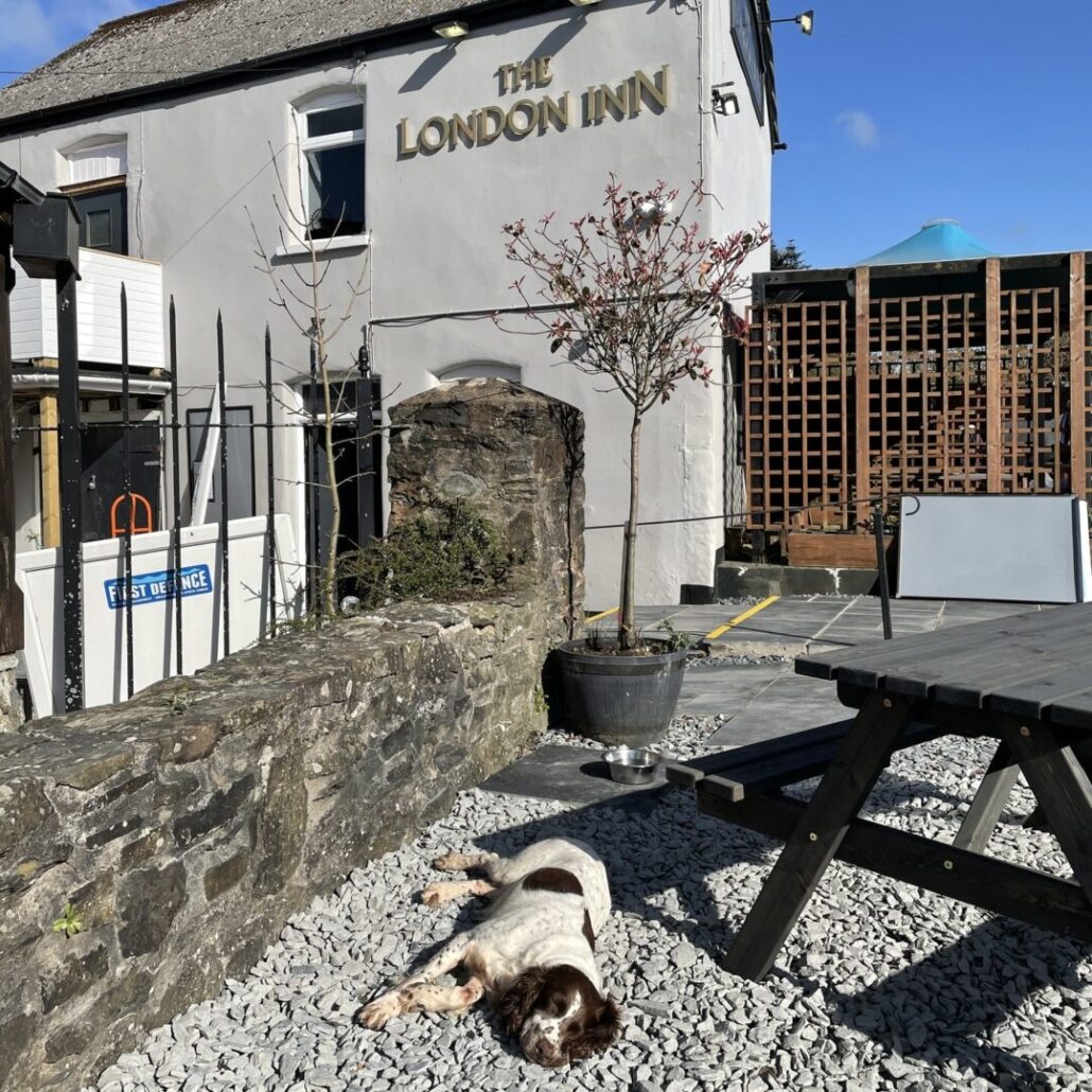 The London Inn dog-friendly pub