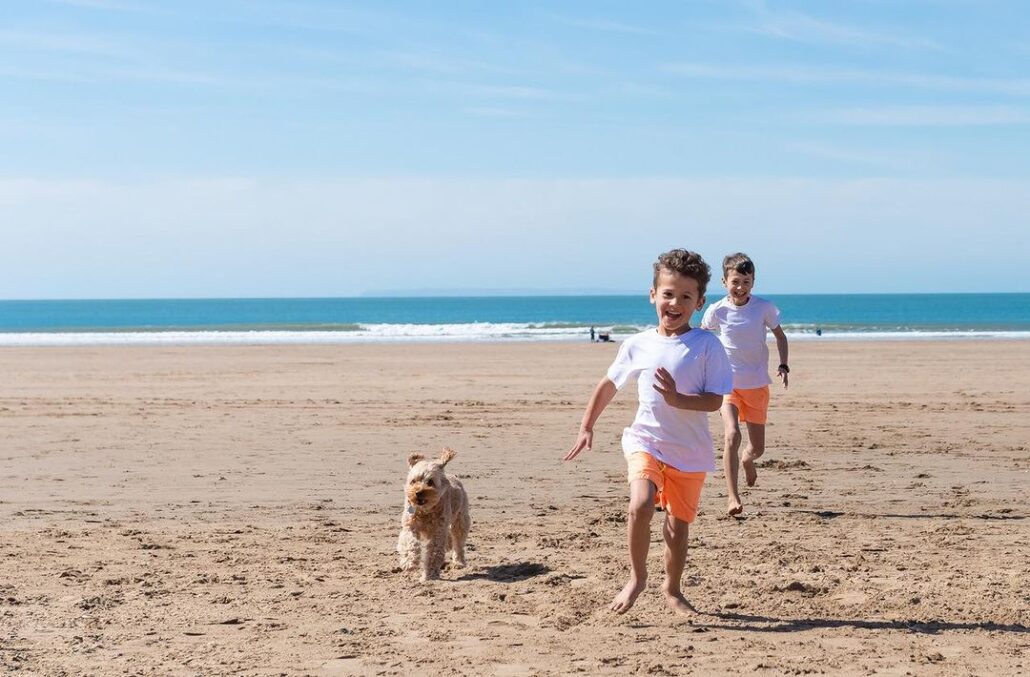 Dogs can enjoy with you in Woolacombe Beach