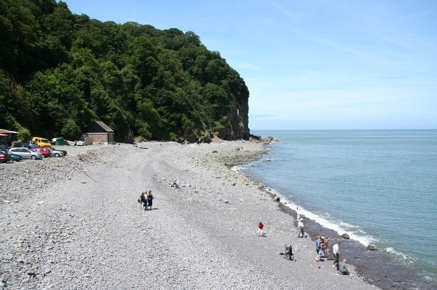 Clovelly Beach