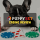 banner bideford puppybet