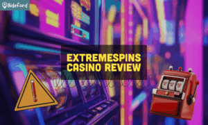 banner bideford extremespins